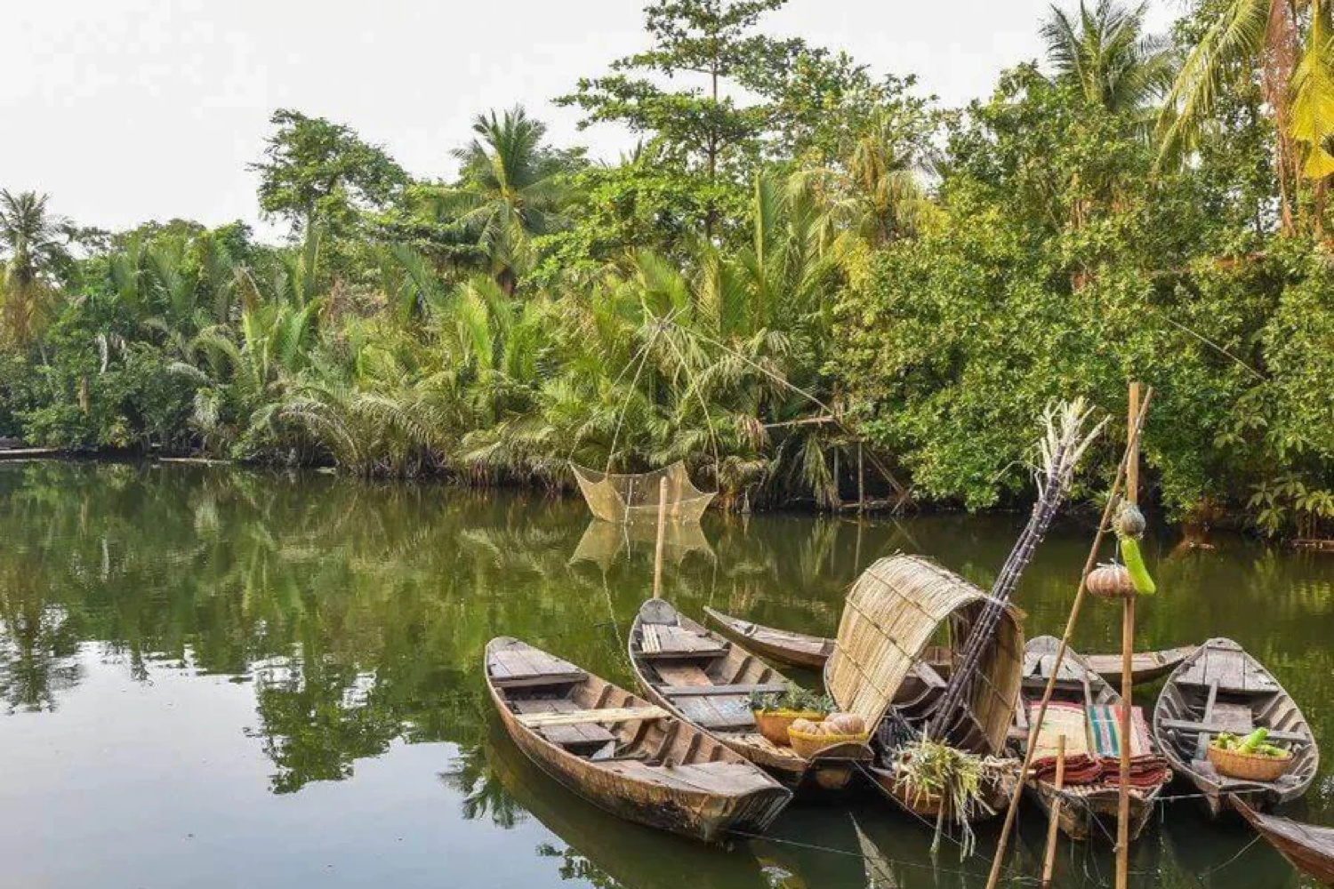 903 trees planted in Vietnam